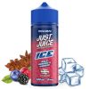 BAIES SAUVAGES & ANIS ICE JUST JUICE 100ML